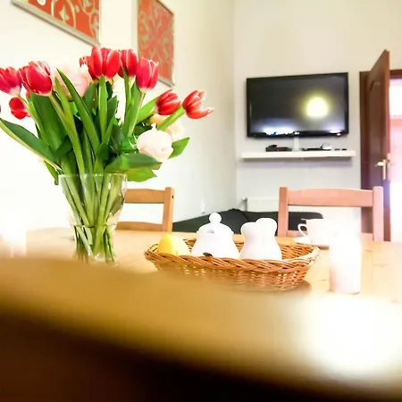Sodispar Mikolajska Krakow